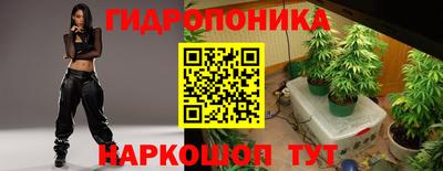 PSILOCYBIN Тверь